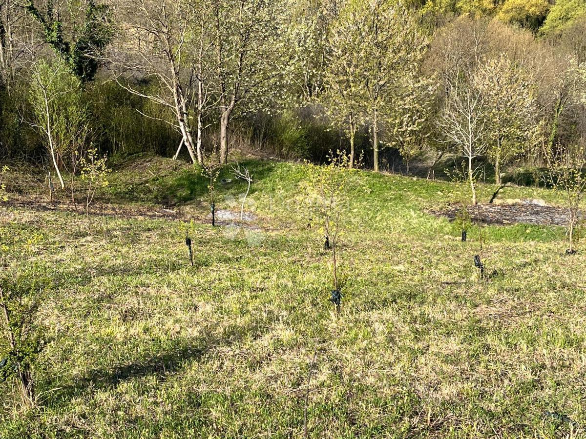 Terreno edificabile Velika Erpenja, Veliko Trgovišće, 8.518m2