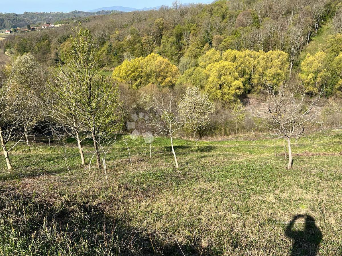 Terreno edificabile Velika Erpenja, Veliko Trgovišće, 8.518m2