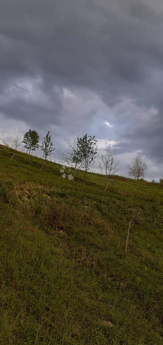 Terreno edificabile Velika Erpenja, Veliko Trgovišće, 8.518m2