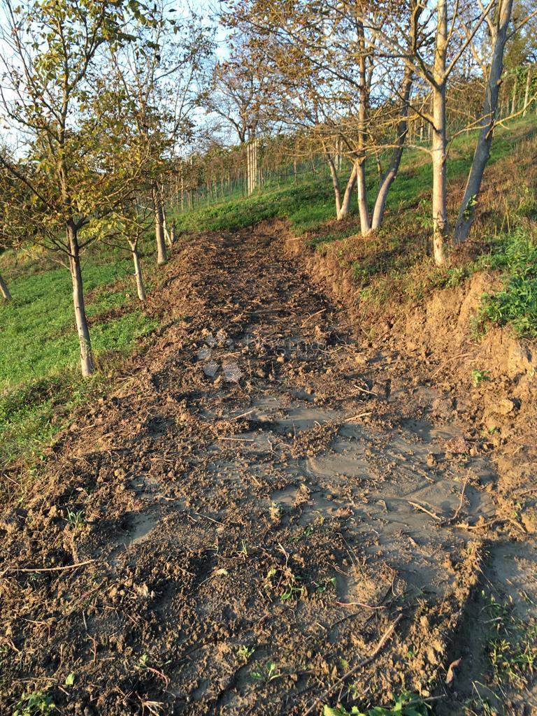 Terreno edificabile Velika Erpenja, Veliko Trgovišće, 8.518m2