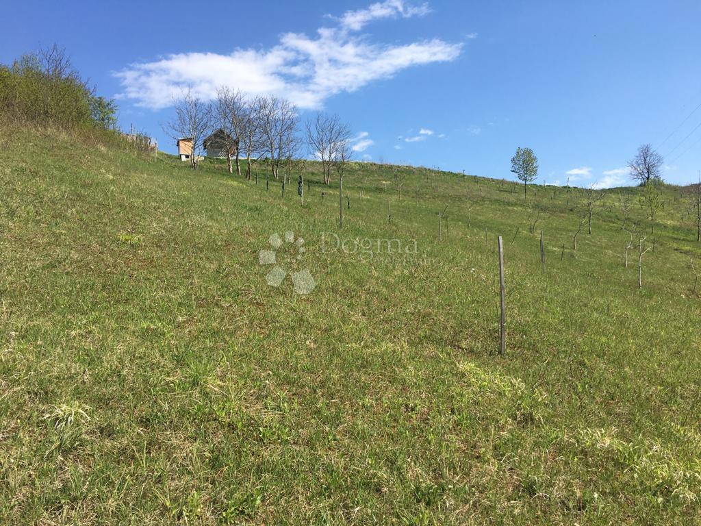 Terreno edificabile Velika Erpenja, Veliko Trgovišće, 8.518m2