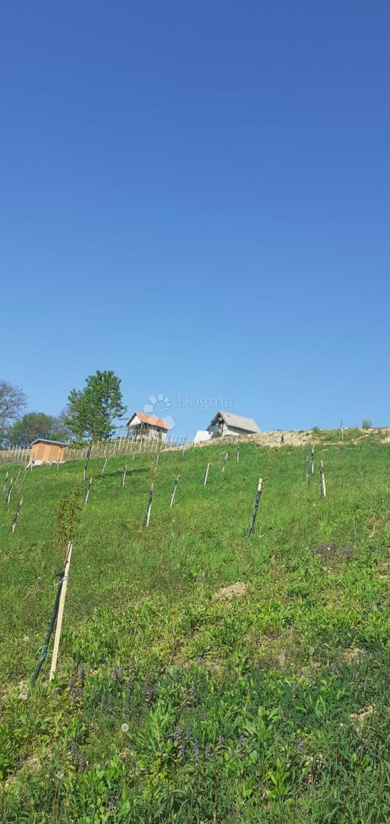 Terreno edificabile Velika Erpenja, Veliko Trgovišće, 8.518m2