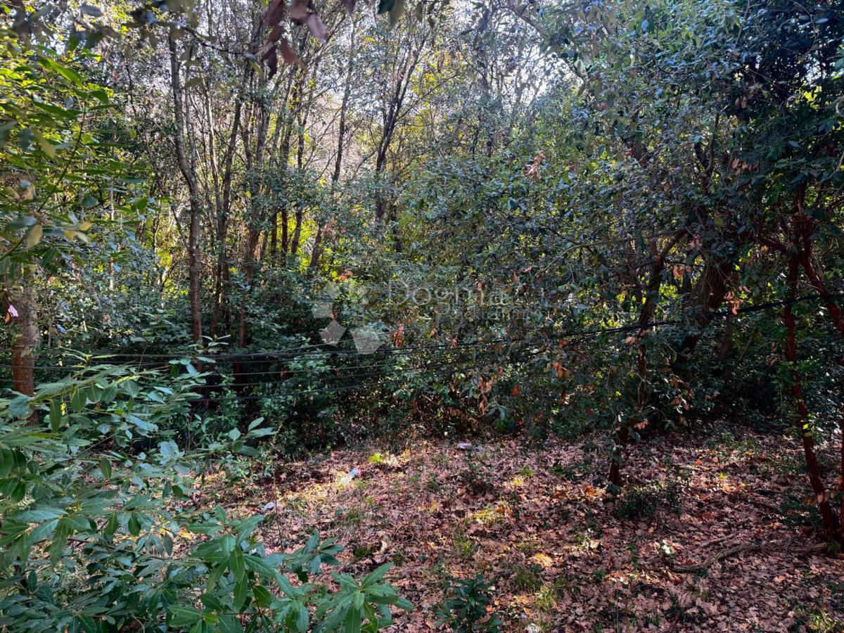 Terreno edificabile Veruda, Pula, 1.553m2