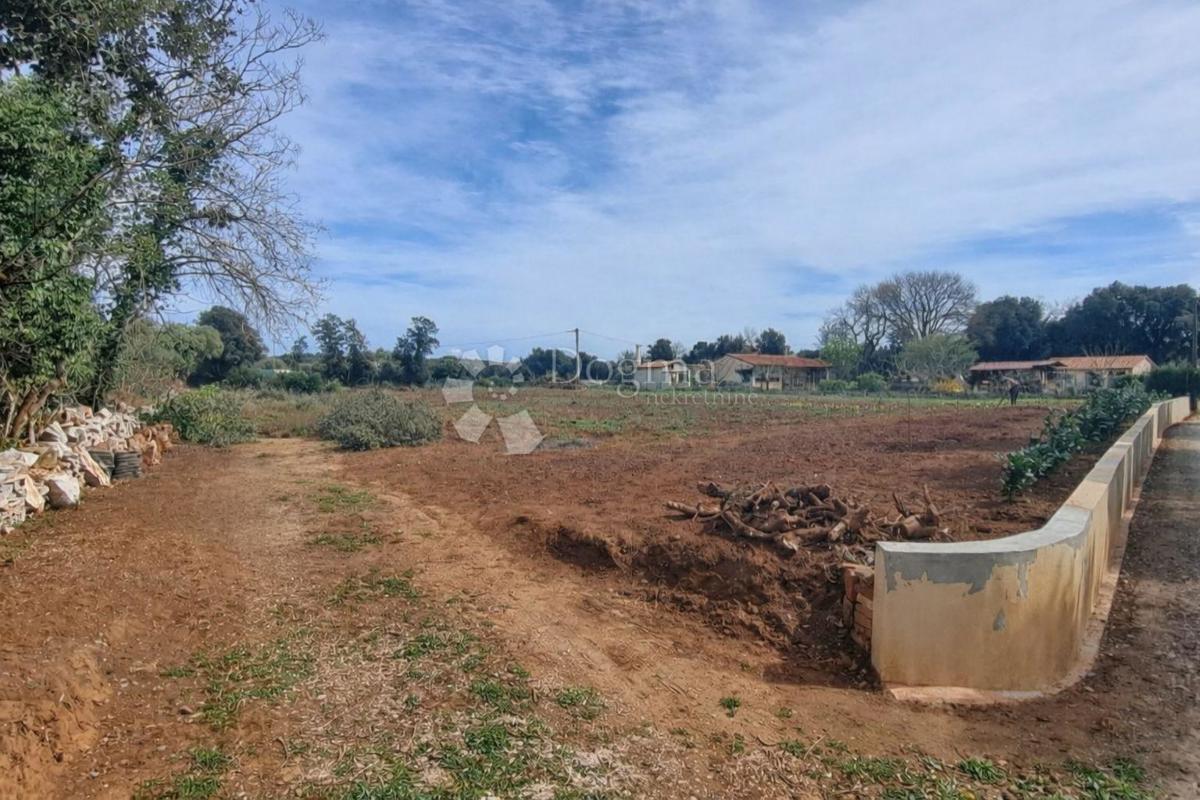 Terreno agricolo Šišan, Ližnjan, 2.972m2