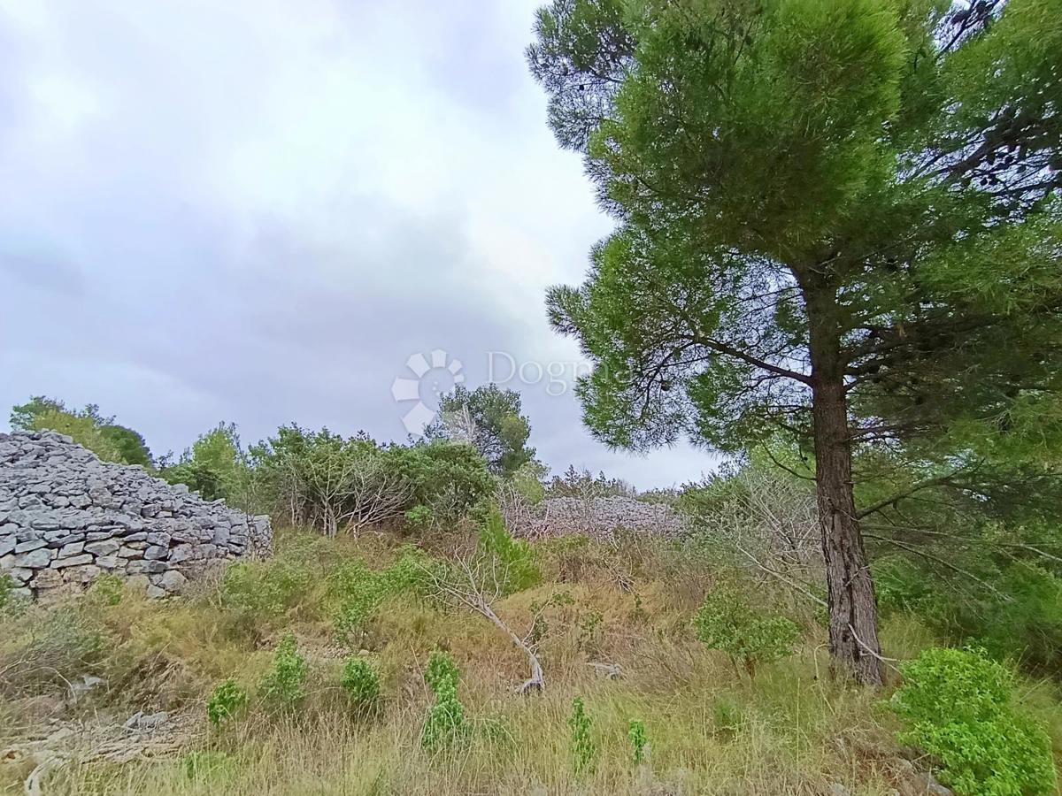 Terreno agricolo Milna, 9.168m2