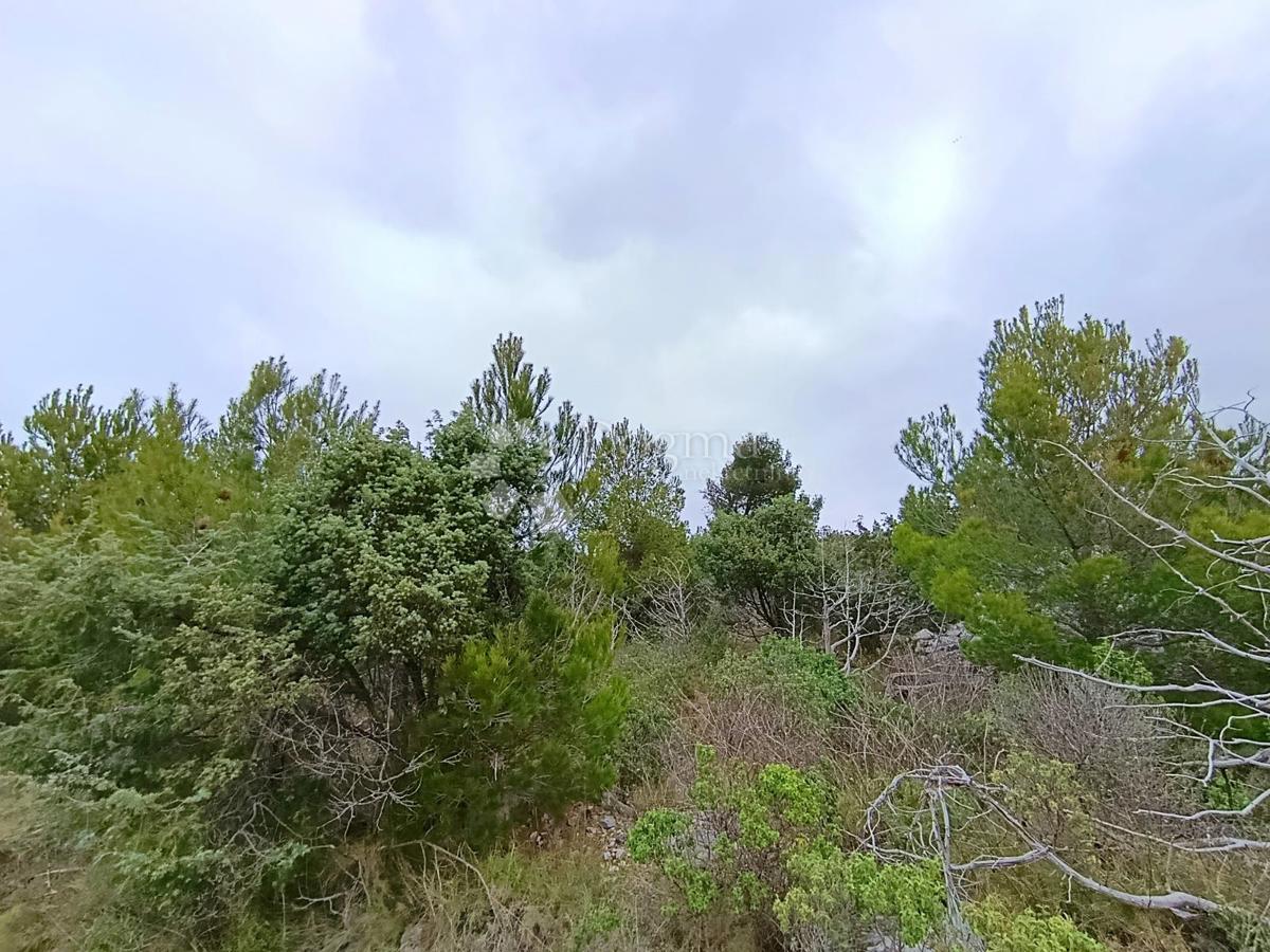 Terreno agricolo Milna, 9.168m2