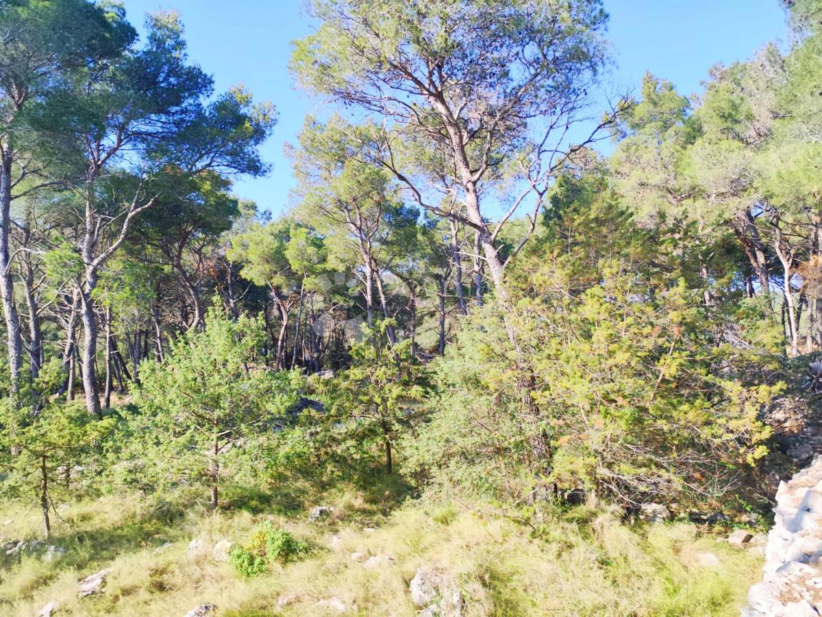 Terreno agricolo Milna, 7.841m2