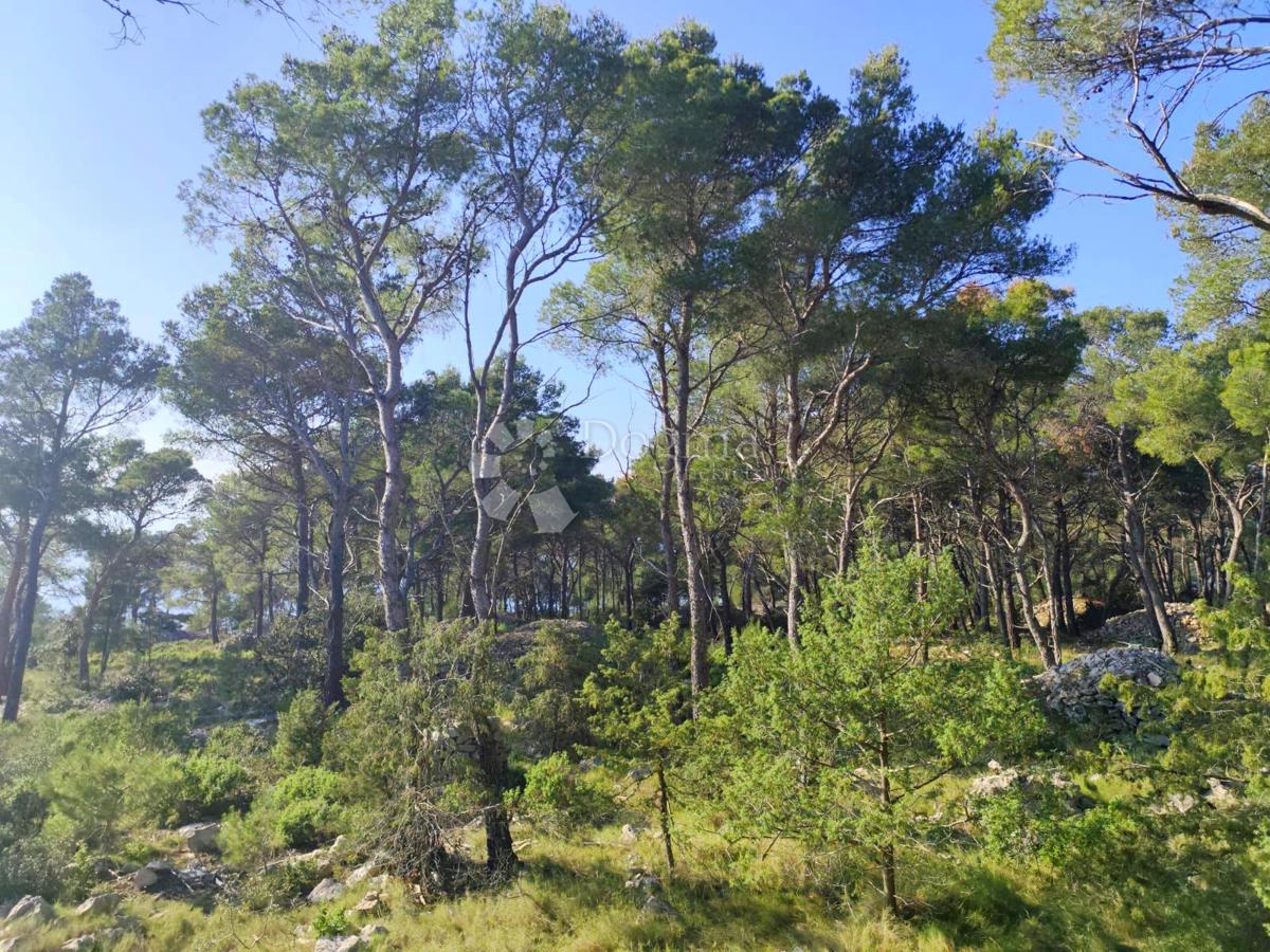 Terreno agricolo Milna, 7.841m2