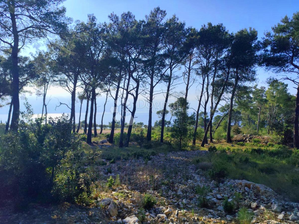 Terreno agricolo Milna, 7.841m2