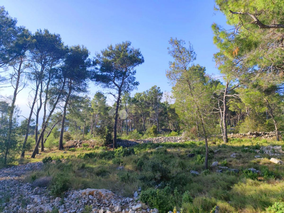 Terreno agricolo Milna, 7.841m2