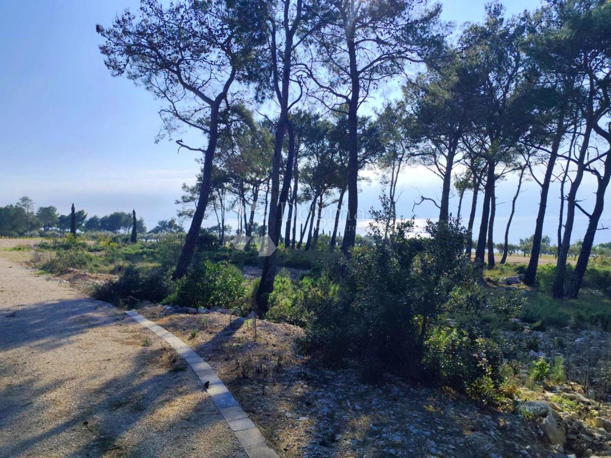 Terreno agricolo Milna, 7.841m2