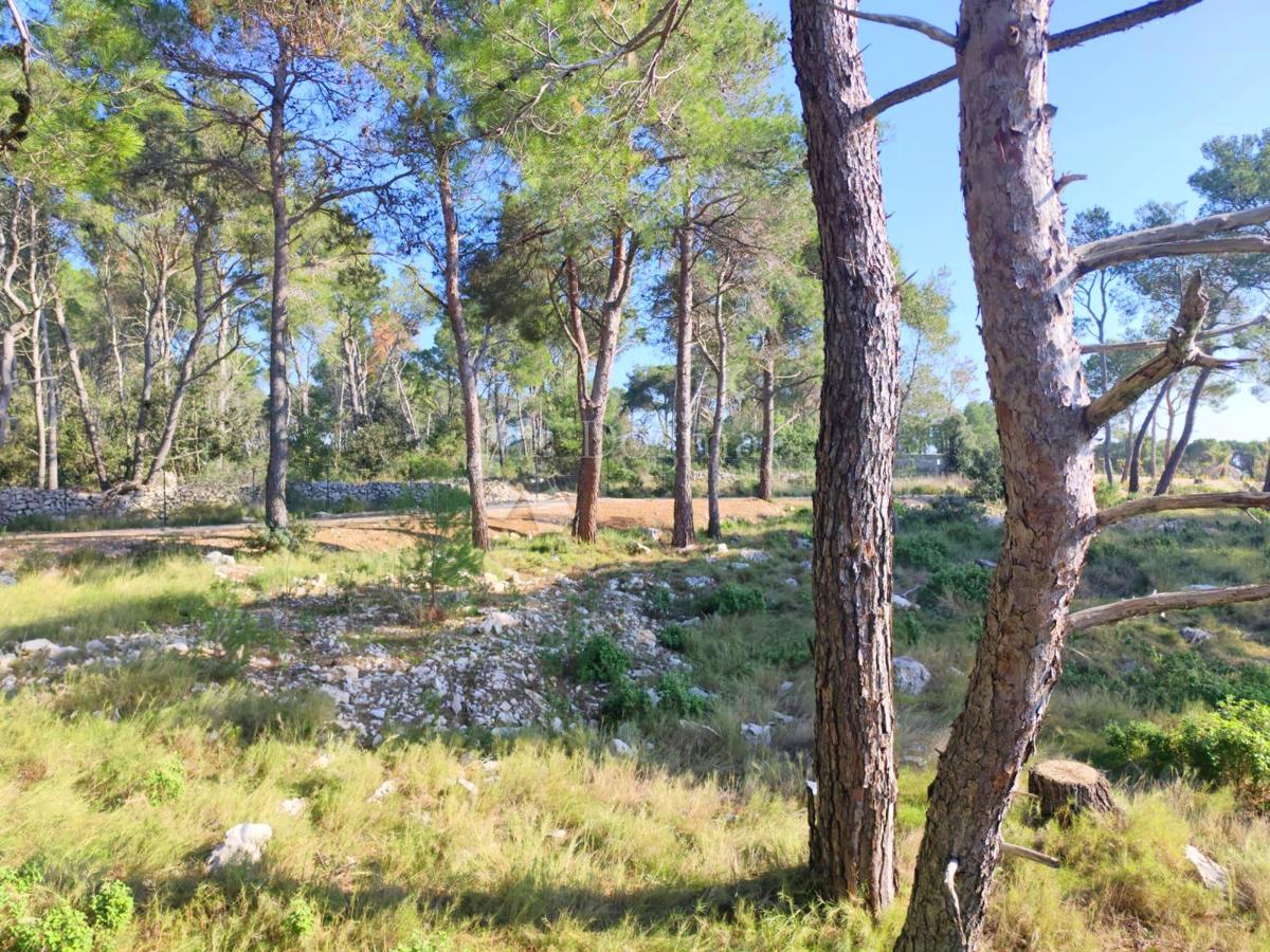 Terreno agricolo Milna, 7.841m2