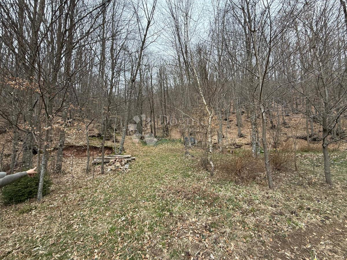 Casa Brušane, Gospić - Okolica, 100m2