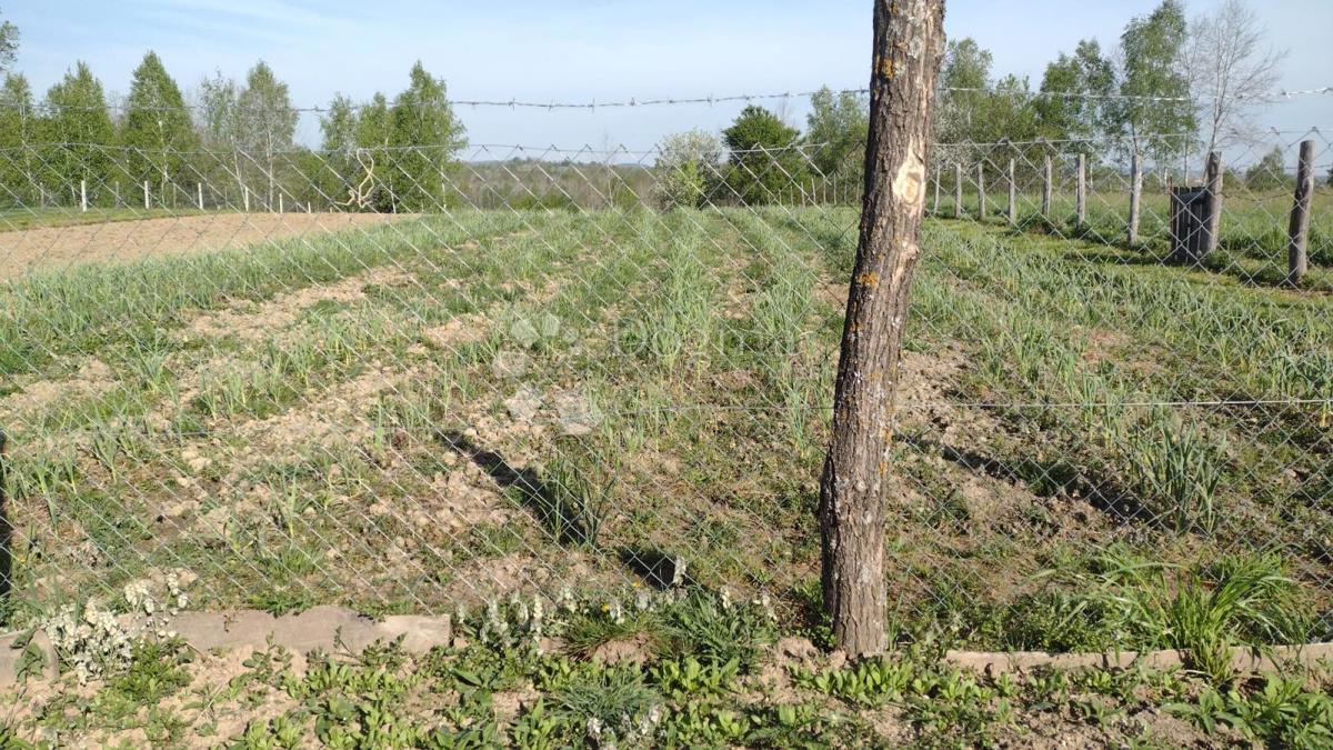 Casa Blatuša, Gvozd, 54m2