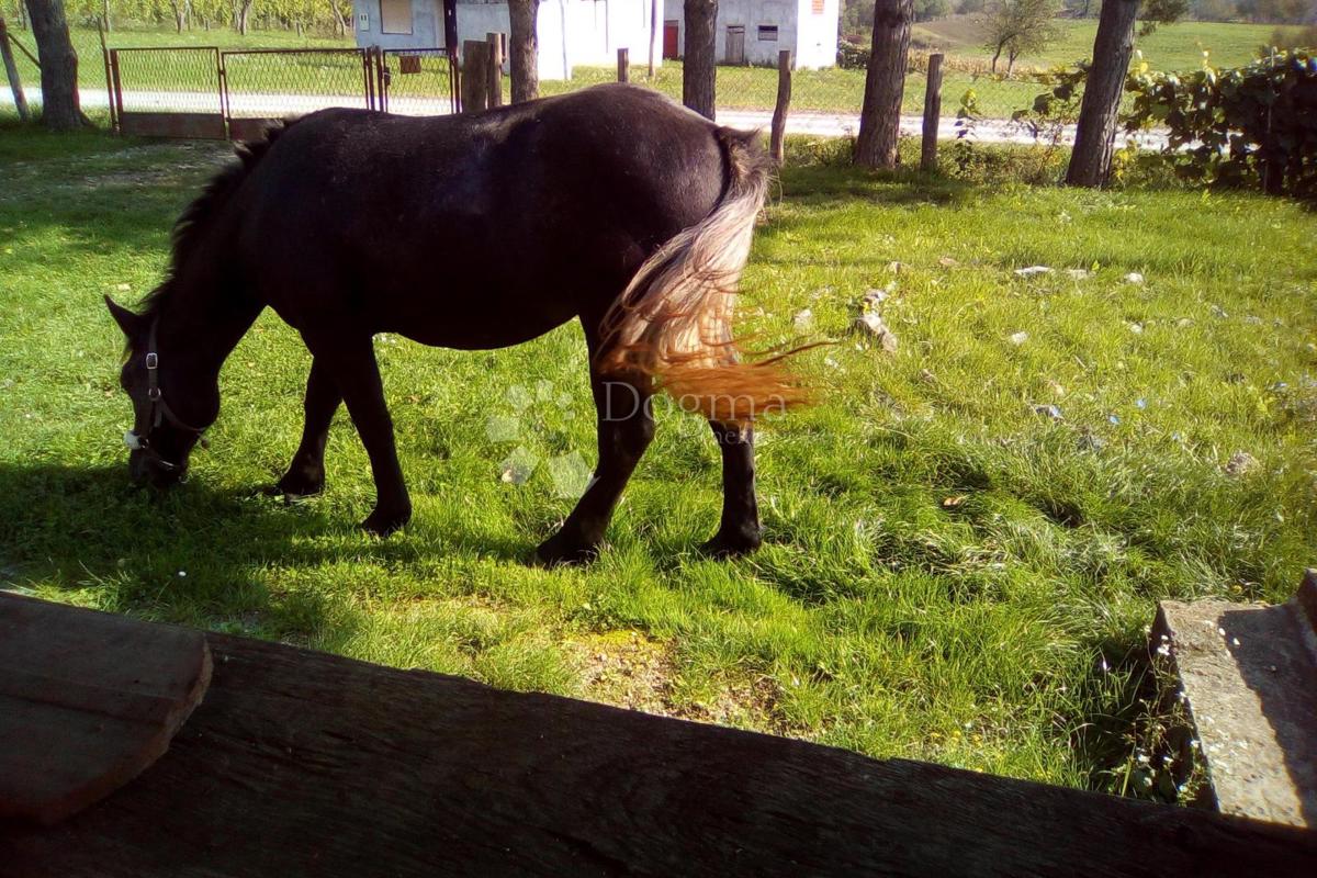 Casa Blatuša, Gvozd, 54m2