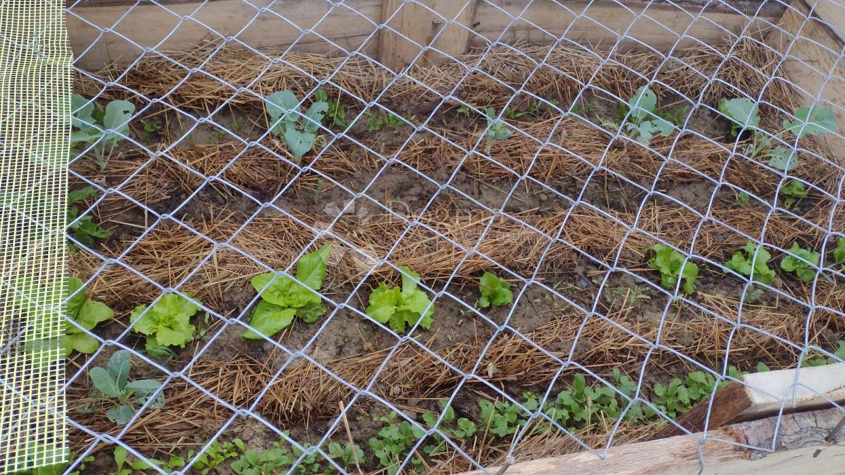 Casa Blatuša, Gvozd, 54m2