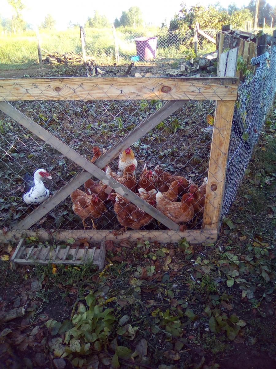 Casa Blatuša, Gvozd, 54m2