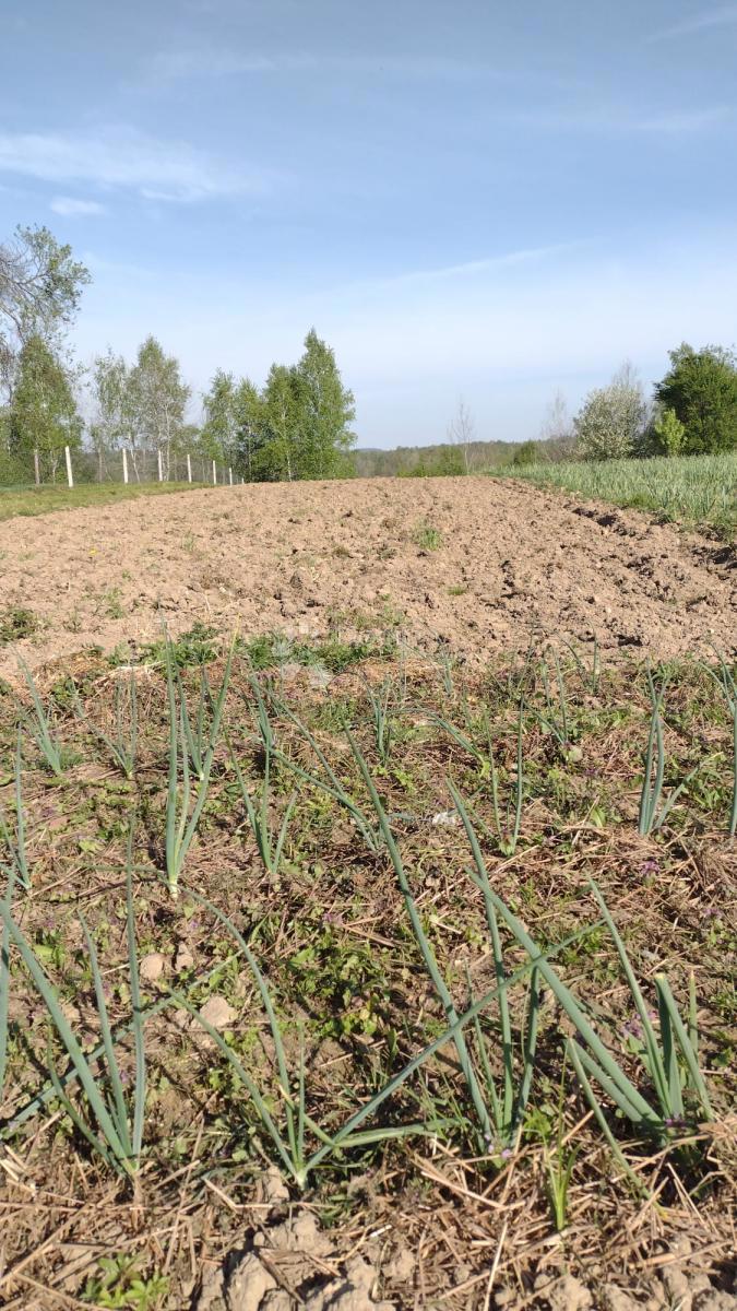 Casa Blatuša, Gvozd, 54m2