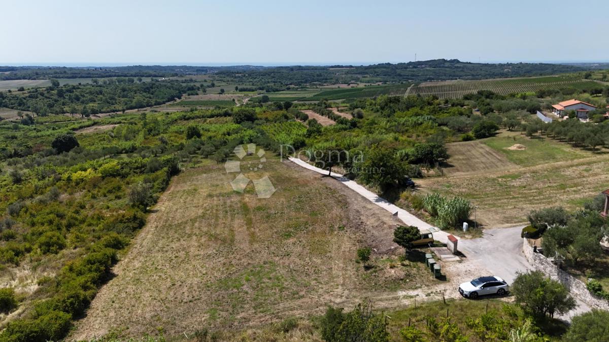 Terreno edificabile Buje, 1,03m2