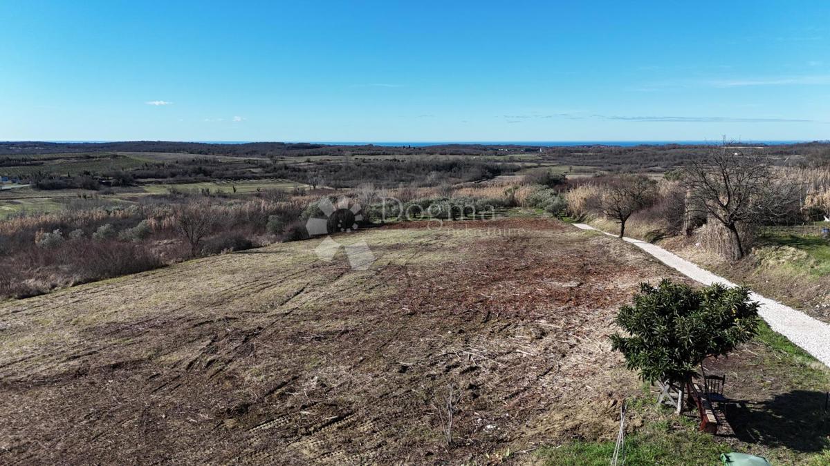 Terreno edificabile Buje, 1,03m2