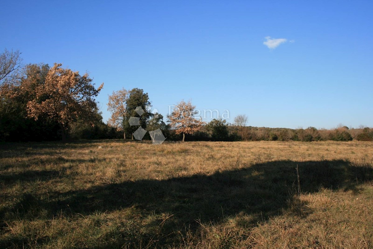 Terreno Rovinj, 4.732m2