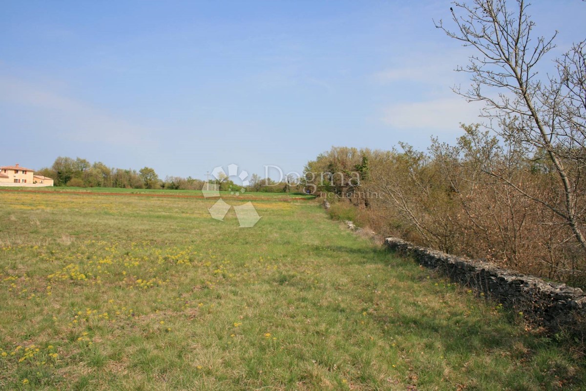 Terreno Štokovci, Svetvinčenat, 26.059m2