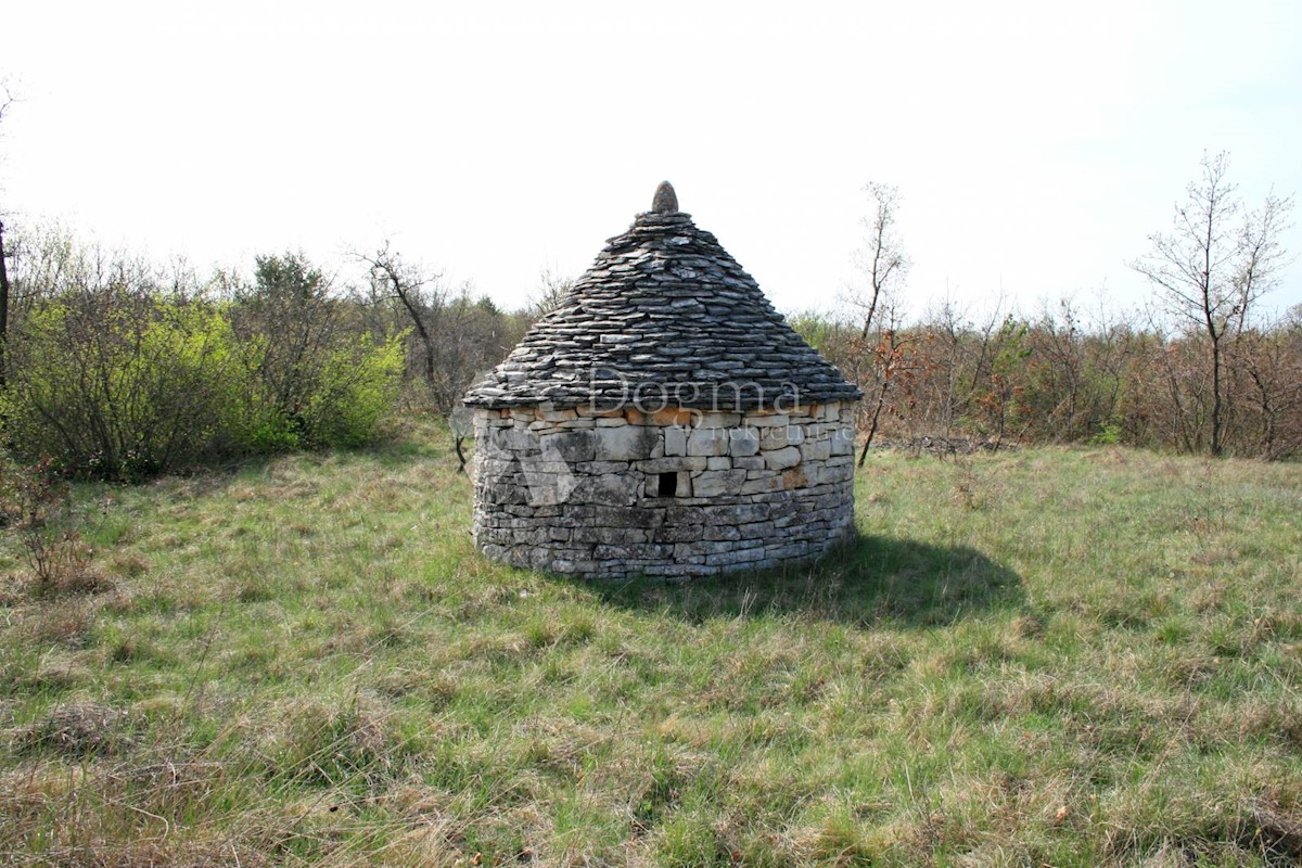 Terreno Štokovci, Svetvinčenat, 26.059m2