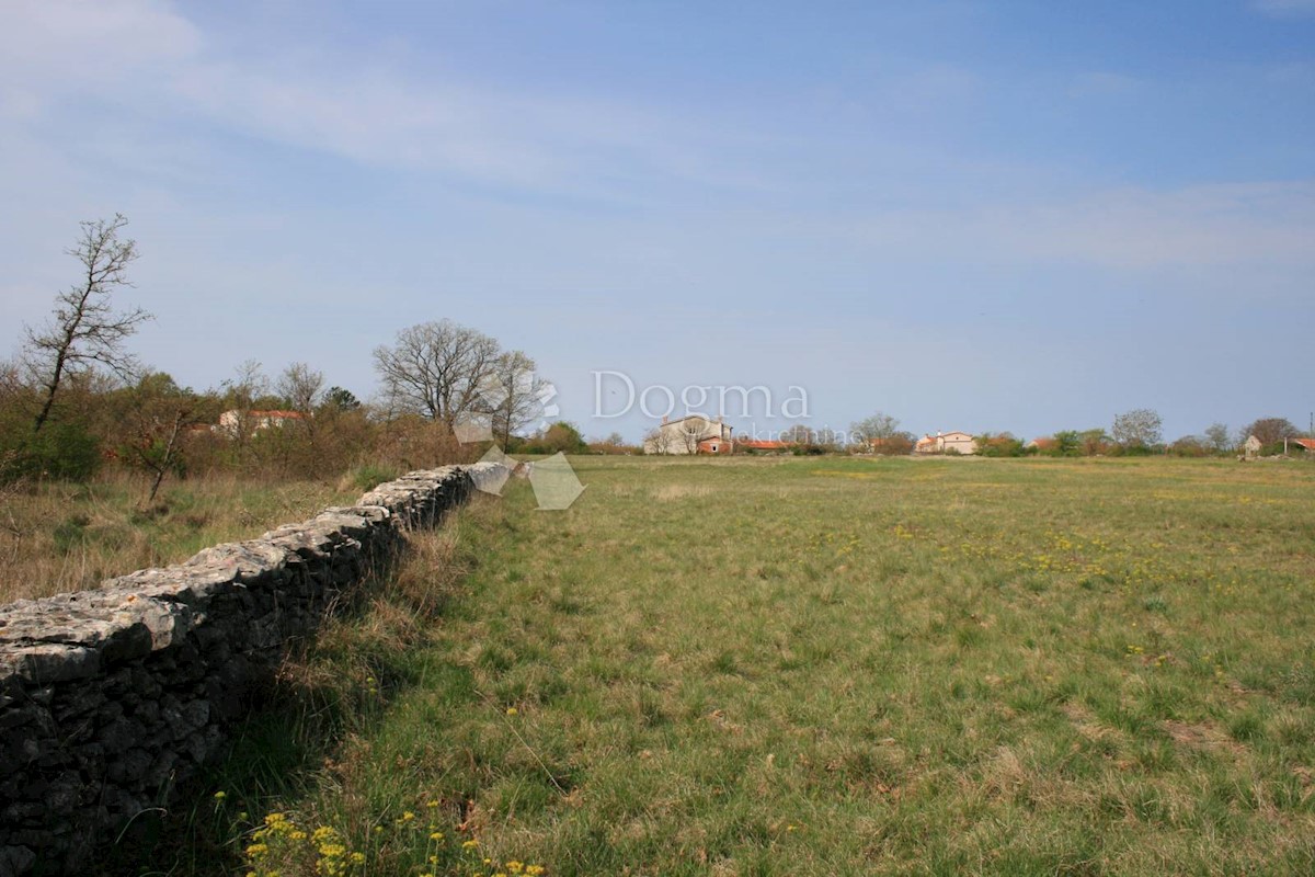 Terreno Štokovci, Svetvinčenat, 26.059m2