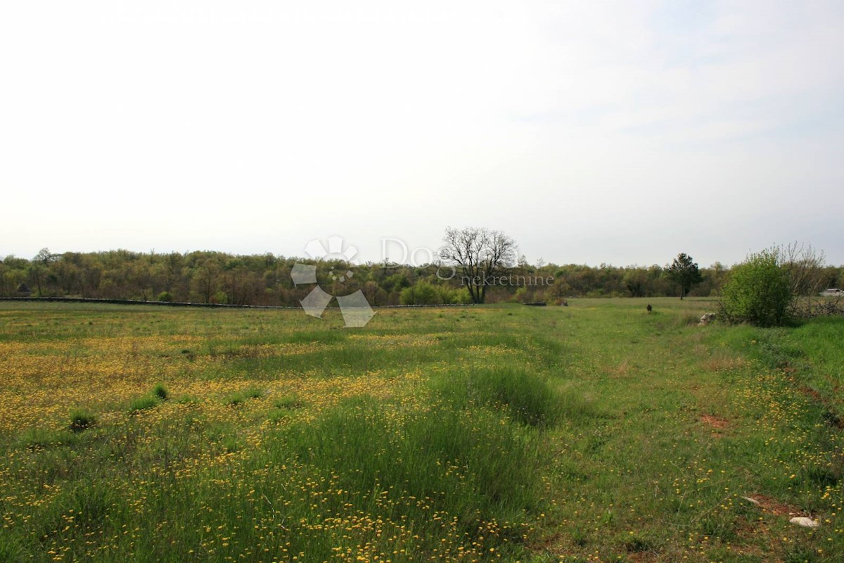 Terreno Štokovci, Svetvinčenat, 26.059m2