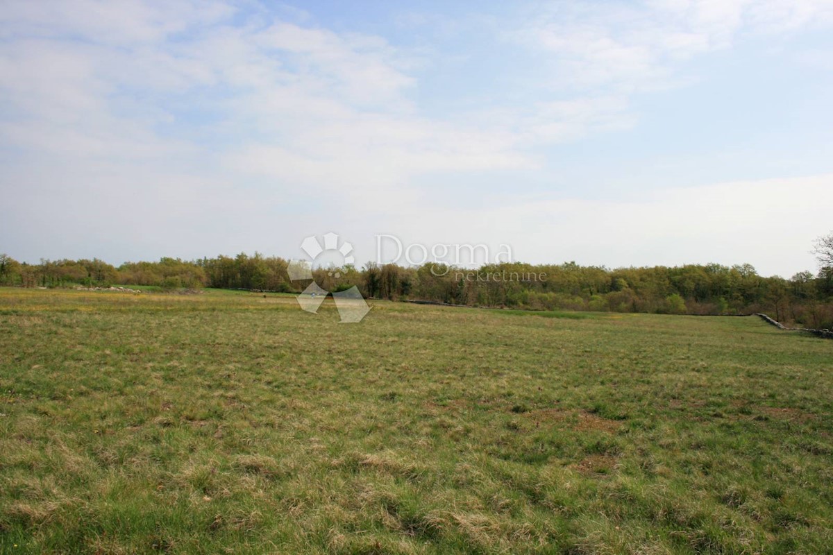 Terreno Štokovci, Svetvinčenat, 26.059m2