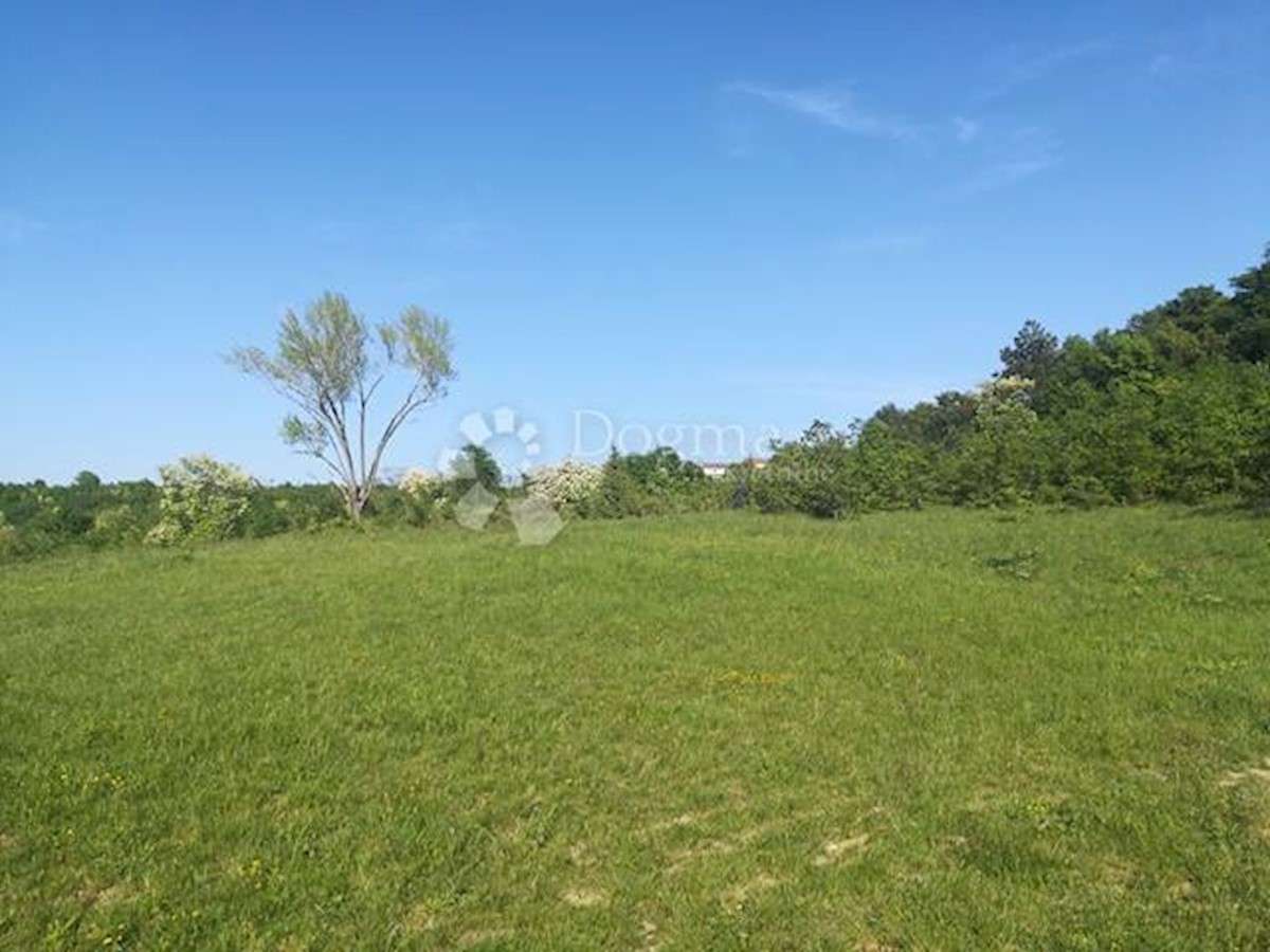 Terreno Kapelica, Labin, 16.000m2