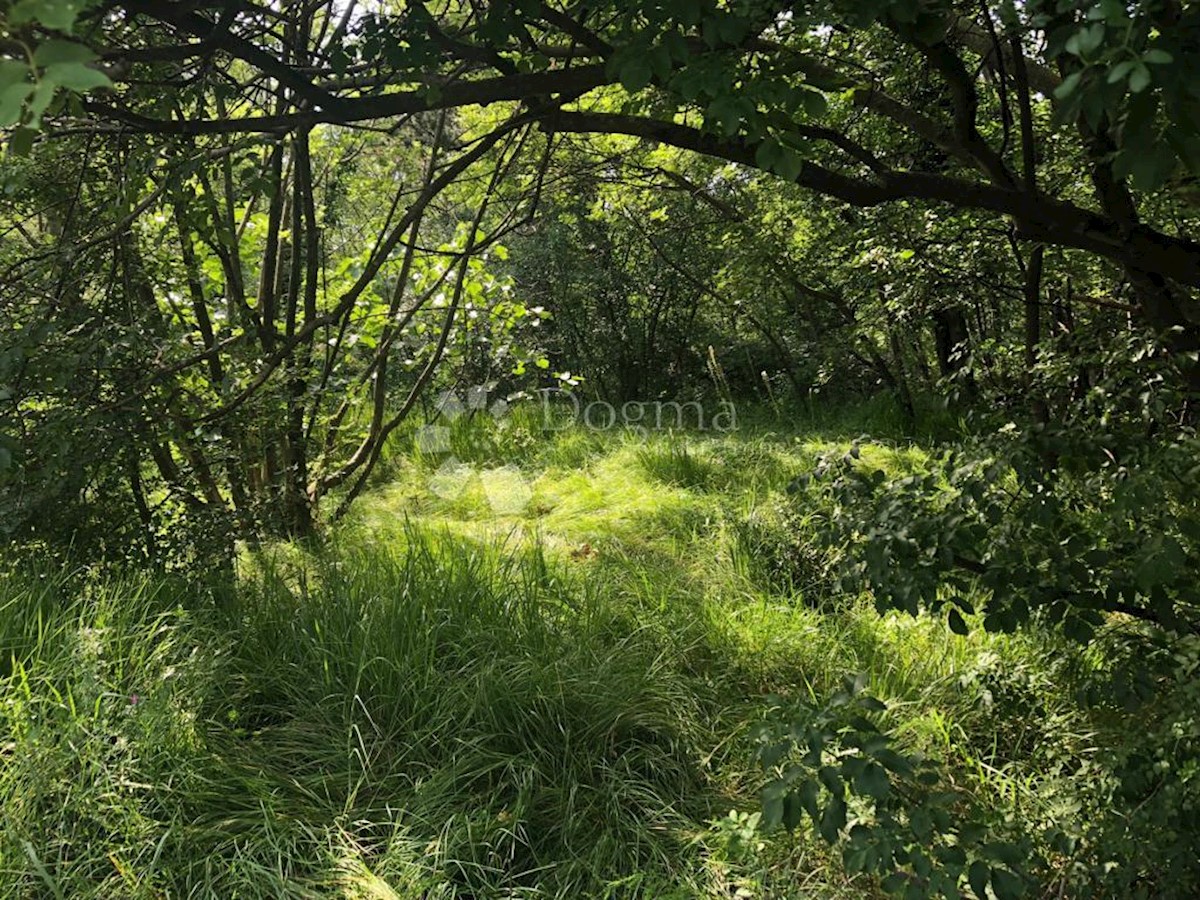 Terreno Zamet, Rijeka, 2.288m2