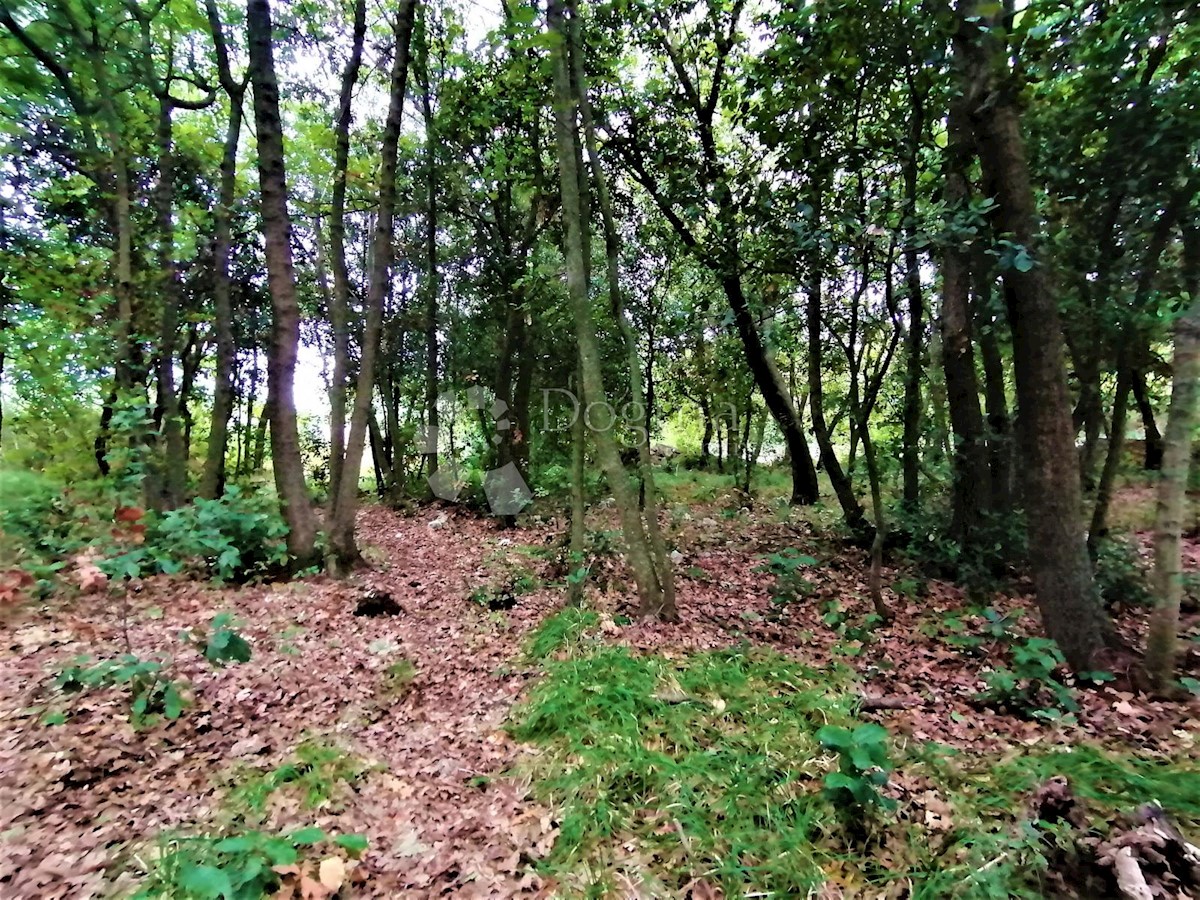 Terreno Peruški, Marčana, 600m2