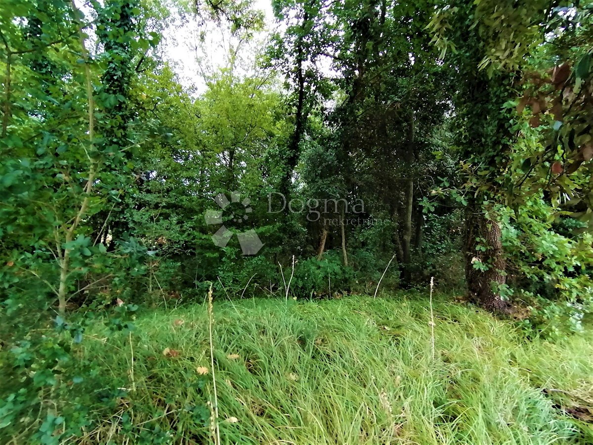 Terreno Peruški, Marčana, 600m2