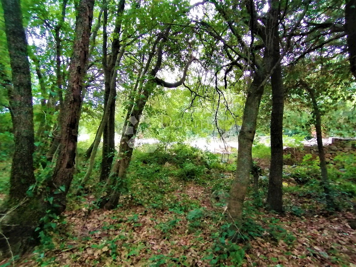 Terreno Peruški, Marčana, 600m2