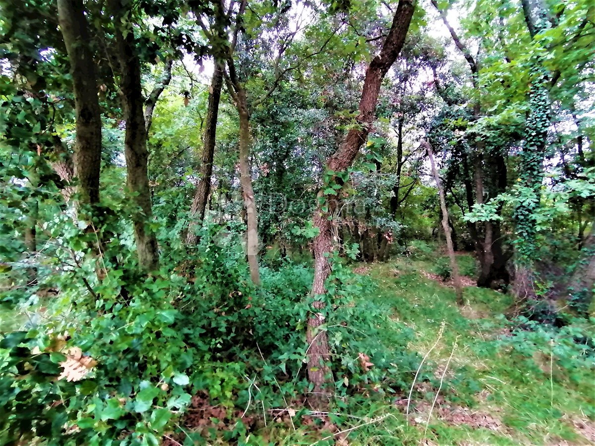 Terreno Peruški, Marčana, 600m2