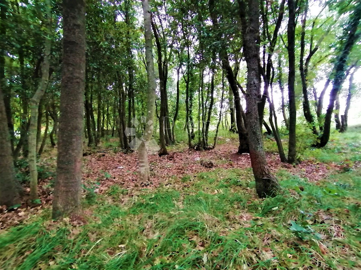 Terreno Peruški, Marčana, 600m2