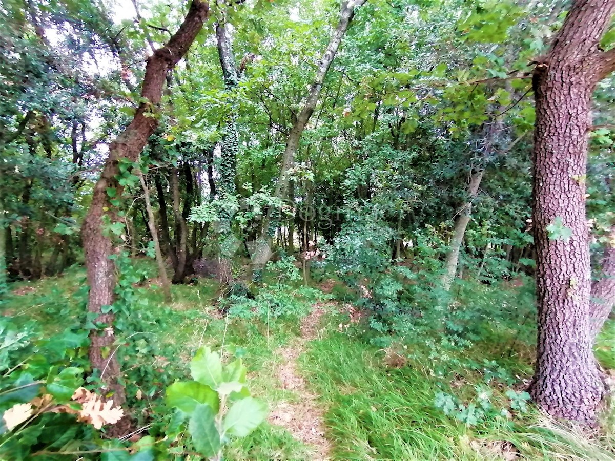 Terreno Peruški, Marčana, 600m2