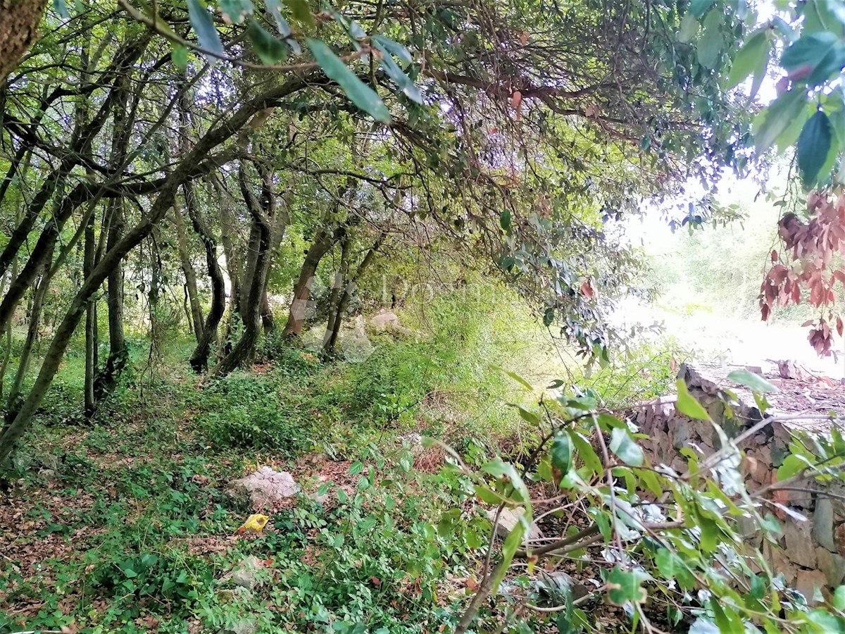 Terreno Peruški, Marčana, 600m2