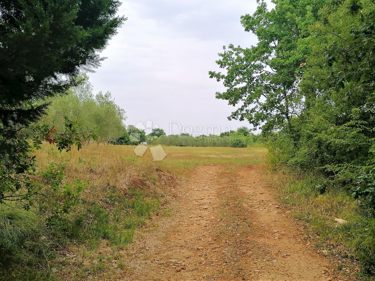 Terreno Peruški, Marčana, 600m2