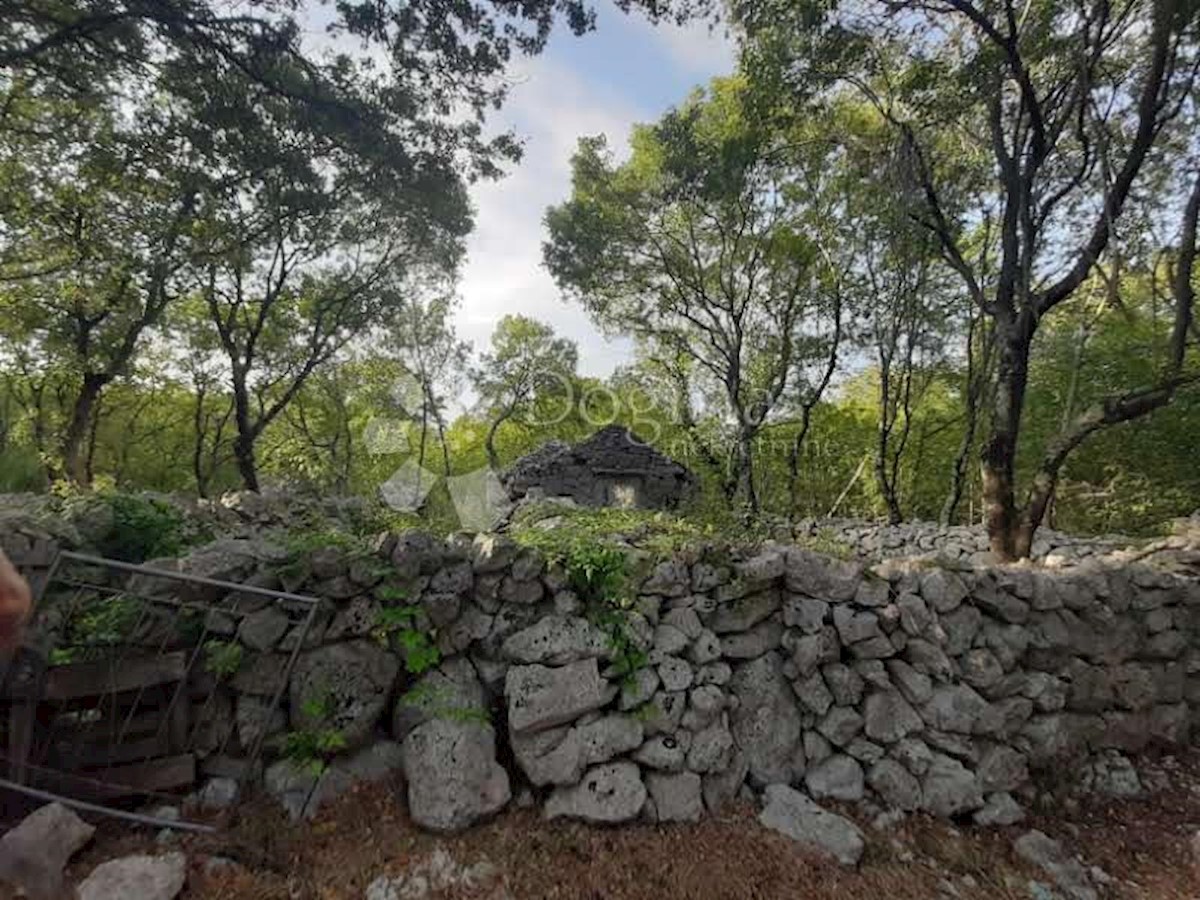 Terreno Vrbnik, 8.000m2