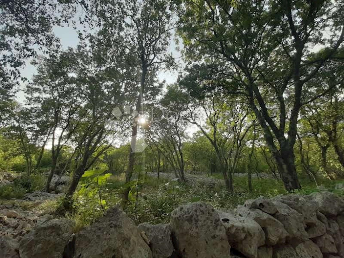 Terreno Vrbnik, 8.000m2