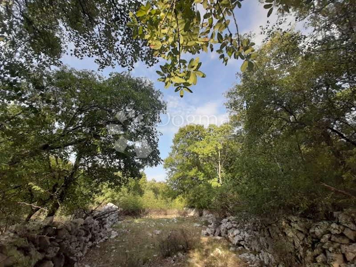 Terreno Vrbnik, 8.000m2