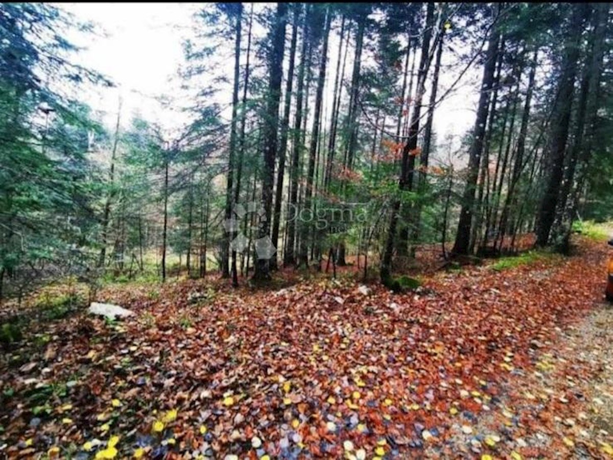 Terreno Stari Laz, Ravna Gora, 4.864m2