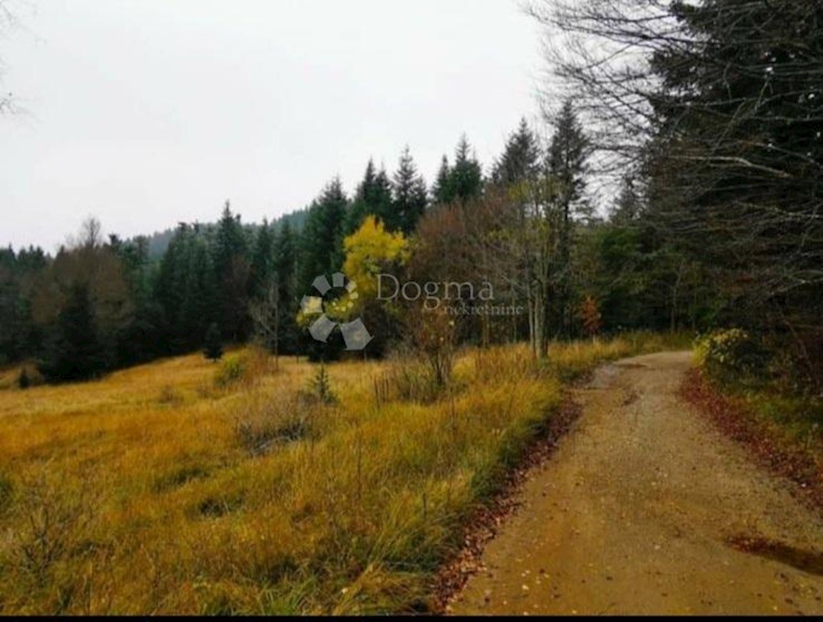 Terreno Stari Laz, Ravna Gora, 4.864m2