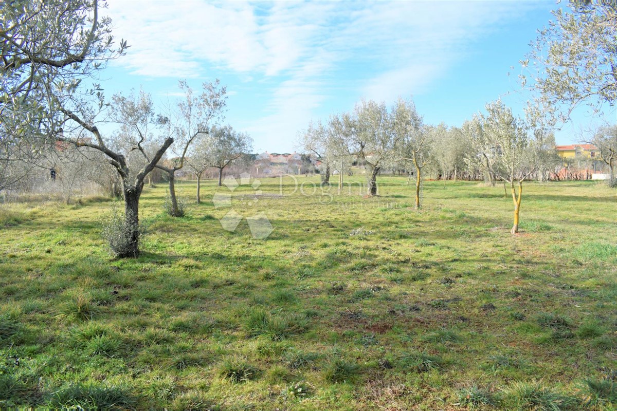 ESCLUSIVO TERRENO EDIFICABILE IN POSIZIONE MIGLIORE