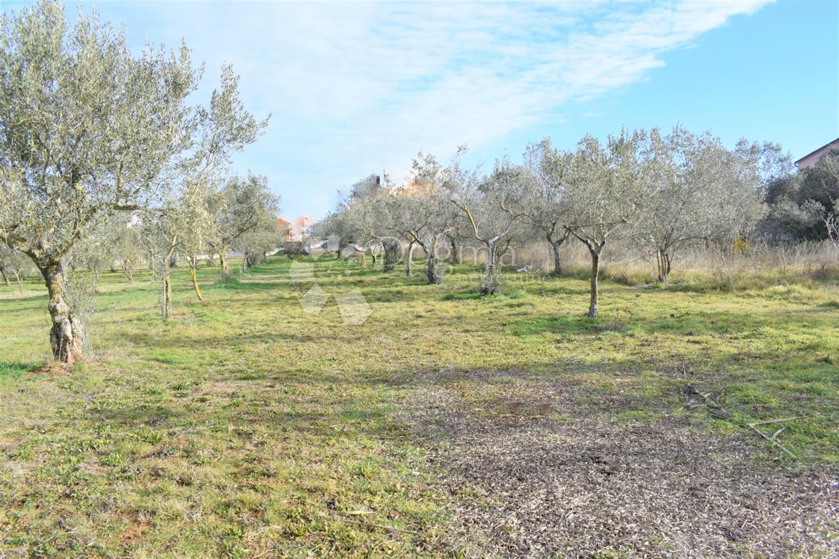 ESCLUSIVO TERRENO EDIFICABILE IN POSIZIONE MIGLIORE