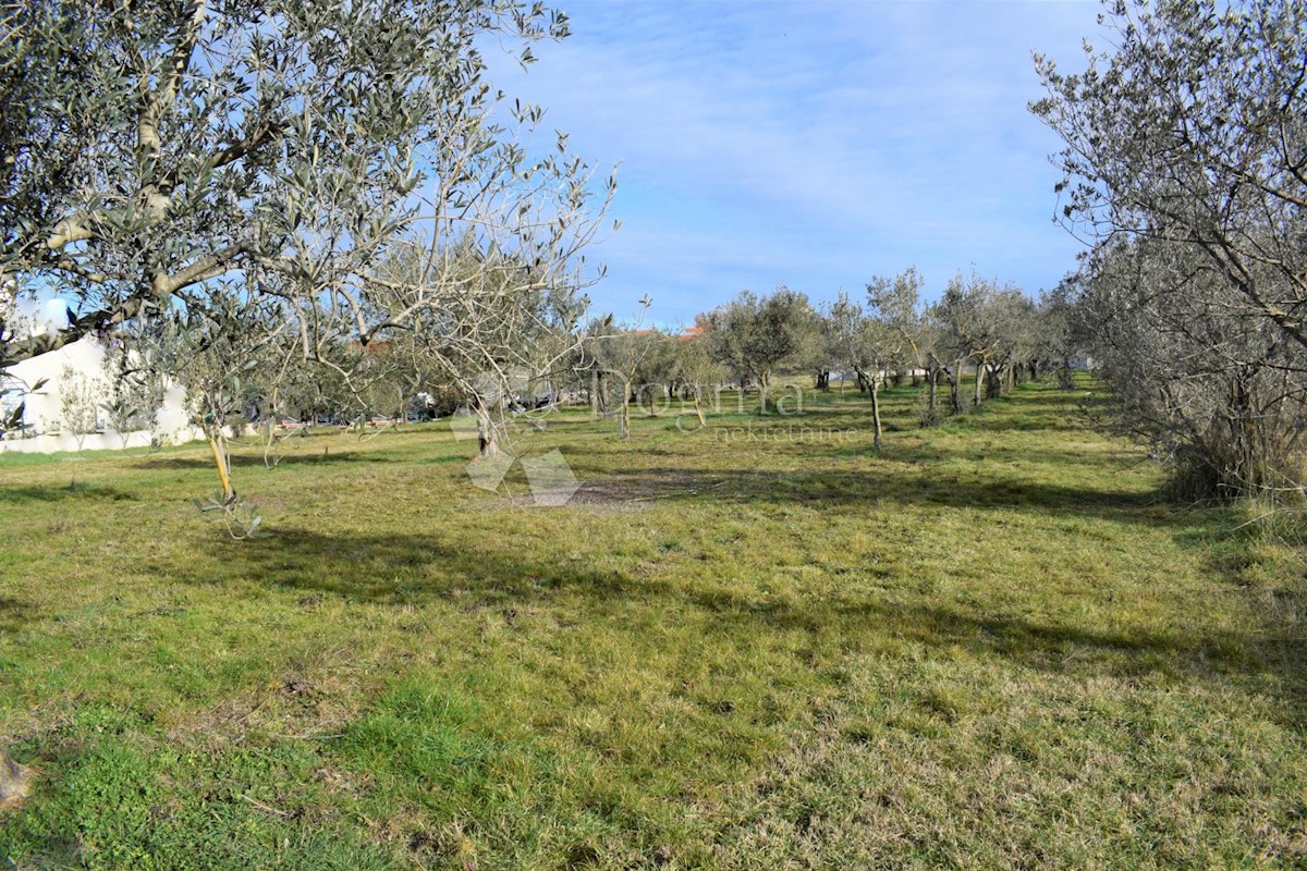 ESCLUSIVO TERRENO EDIFICABILE IN POSIZIONE MIGLIORE