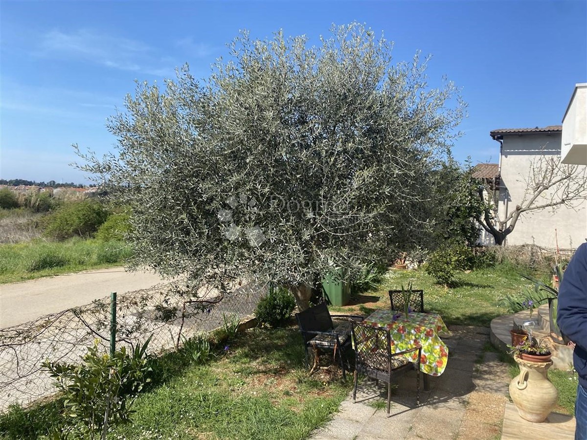  Casa con 4 appartamenti, Cittanova