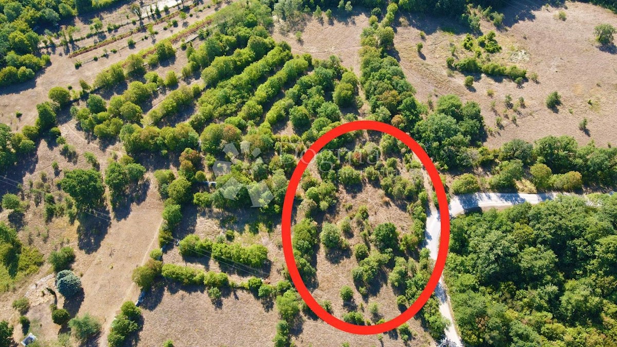 Terreno Labin, 3.000m2